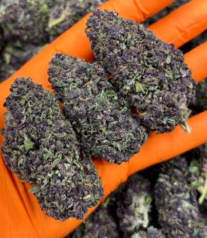 LEMON PURPLE