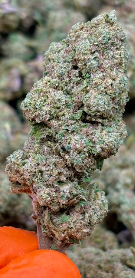 lemon mandarin