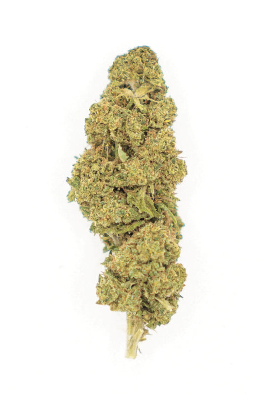 NEW DIESEL GREENHOUSE